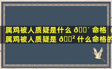 属鸡被人质疑是什么 🐴 命格（属鸡被人质疑是 🌲 什么命格的人）